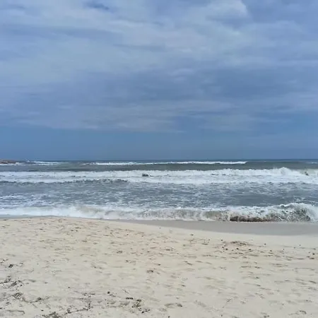 Only 250m From The Locos Διαμέρισμα Τορεβιέχα