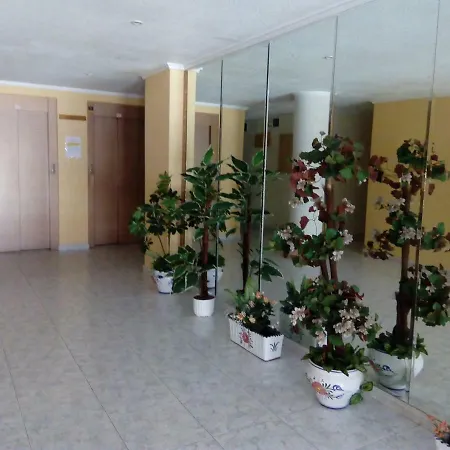 Διαμέρισμα Only 250m From The Locos Τορεβιέχα